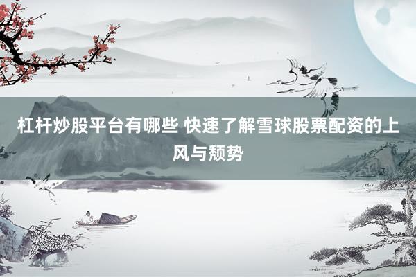 杠杆炒股平台有哪些 快速了解雪球股票配资的上风与颓势