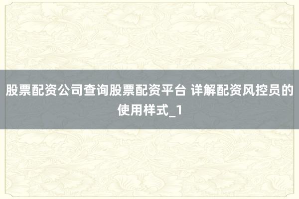 股票配资公司查询股票配资平台 详解配资风控员的使用样式_1