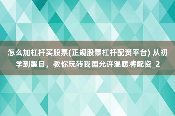 怎么加杠杆买股票(正规股票杠杆配资平台) 从初学到醒目,教你玩转我国允许温暖将配资_2