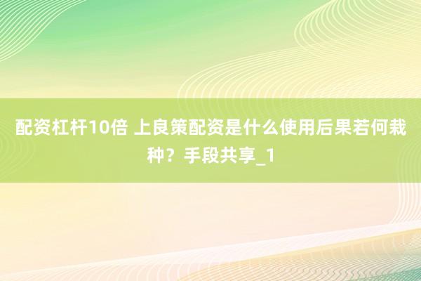 配资杠杆10倍 上良策配资是什么使用后果若何栽种?手段共享_1